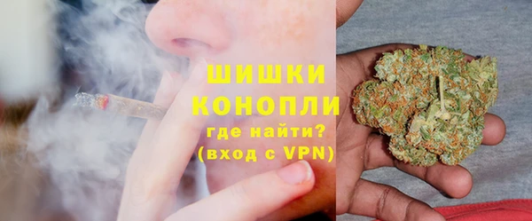 ГАЛЛЮЦИНОГЕННЫЕ ГРИБЫ Балабаново