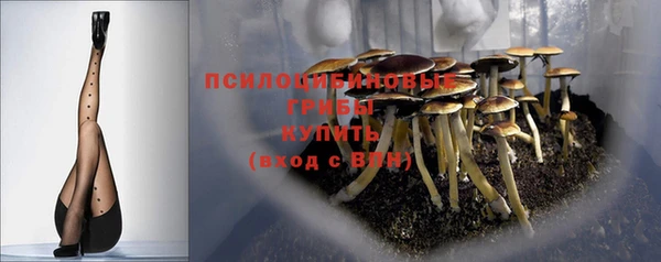 дурь Балахна