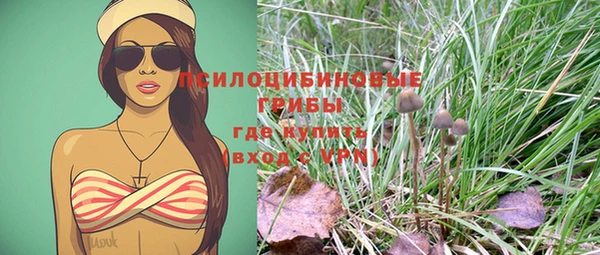 дурь Балахна