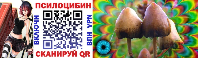 Псилоцибиновые грибы прущие грибы Куртамыш