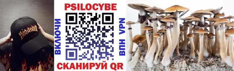 Галлюциногенные грибы Cubensis  Куртамыш 