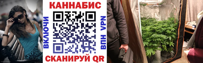 Конопля план  купить наркотики цена  Куртамыш 